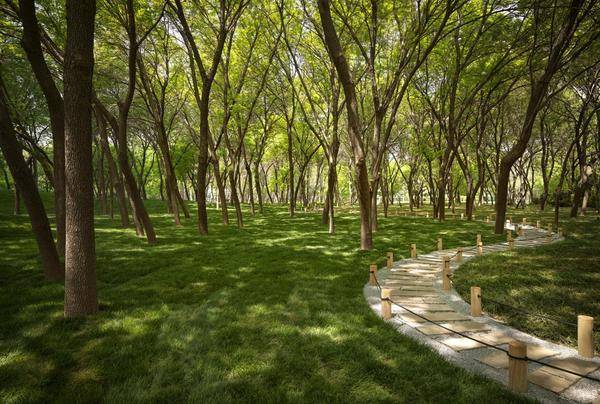  缦合·北京|中国首场园林国际大秀，5月17日即将惊艳亮相