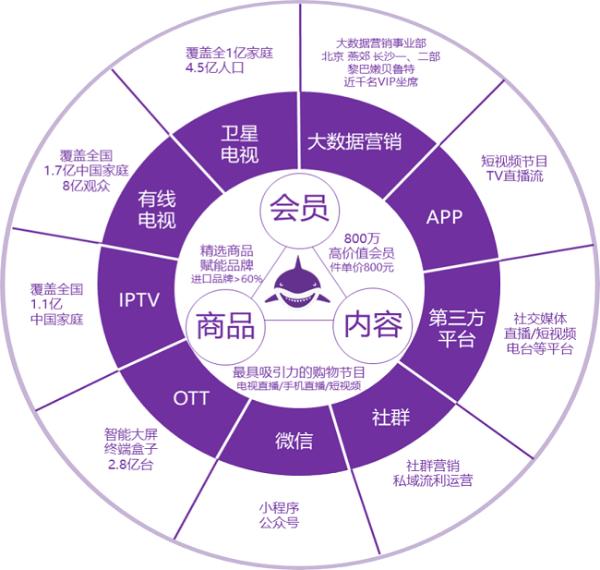 全媒体零售企业 聚鲨环球精选跨越式转型发展之路