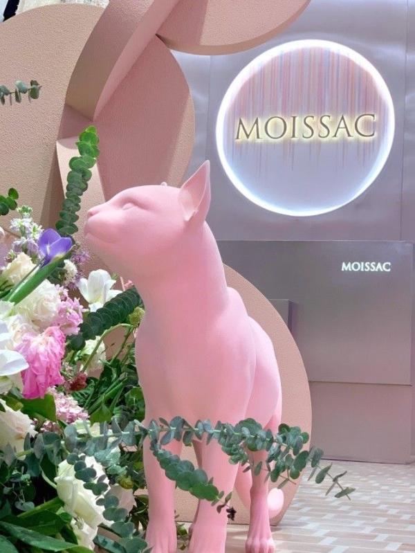  MOISSAC 主题店 「奇幻喵乐园」首站重庆，梦幻着陆