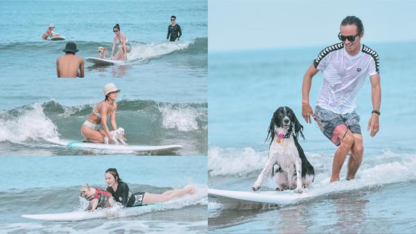 都市女子冲浪节 把海边收集的阳光带回城市--都市女子冲浪节踏浪而来，传递海洋狂热者的健康生活方式