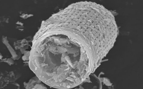 日本SKK硅藻泥：这6点帮你辨别真假硅藻泥