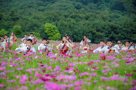 无锡拈花湾百人花海大提琴演绎视听盛宴