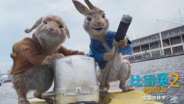 《比得兔2：逃跑计划》高分领跑 端午档唯一票房持续上扬影片