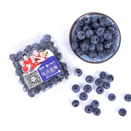 京东生鲜爆品来袭，瓜果蔬鲜百亿补贴等你