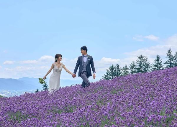 北海道的夏日花海，赴一场满溢幸福的约会