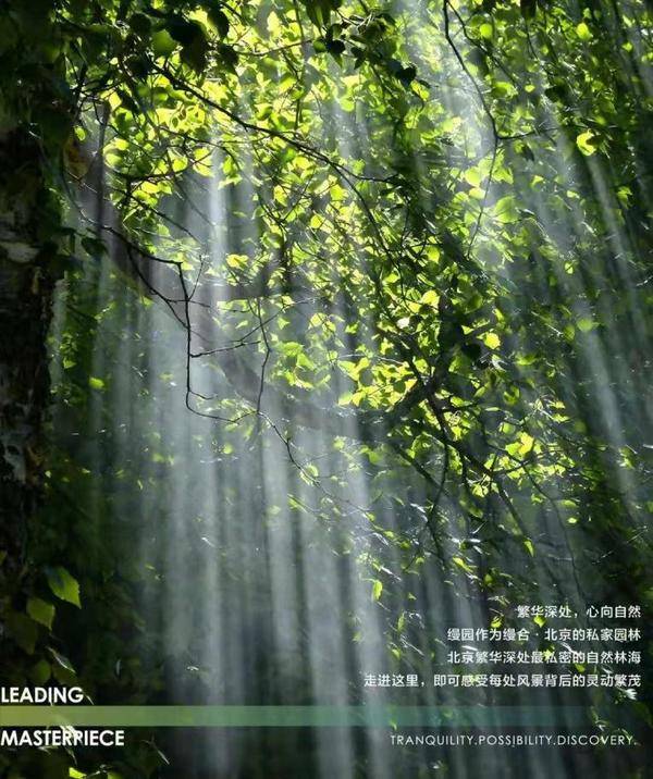 国际影后刘嘉玲：大自然是最好的疗愈场