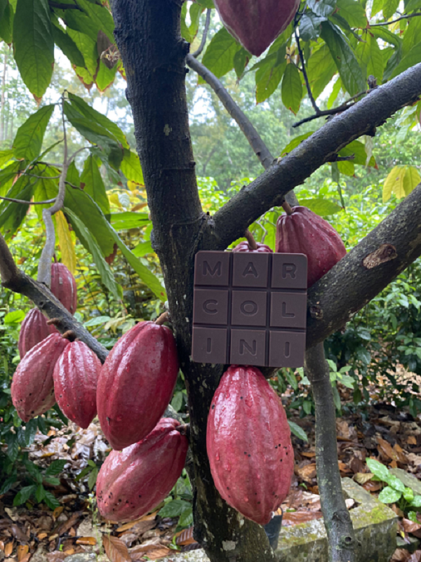 PIERRE MARCOLINI中国·海南二次方巧克力全球首发