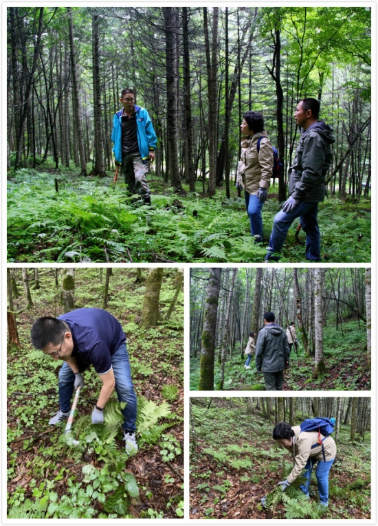  关注生态环保致敬护林员，红顶公益走进吉林汪清国家级自然保护区