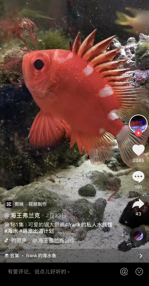 让“蟹坚强”重生的“海王”工程师，195万人看他在抖音养鱼