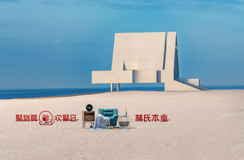 唱片和家具组CP，林氏木业帮它成功出道