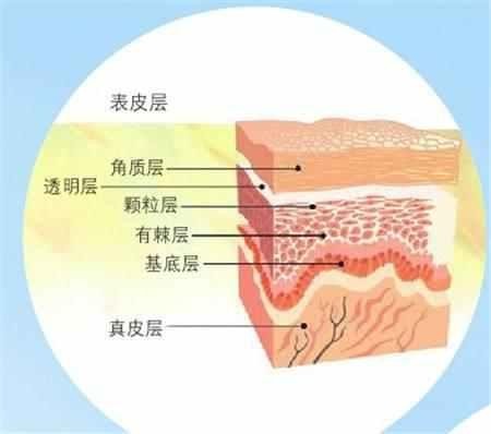 肌底液怎么用才是正确方法？正确使用才能有效！