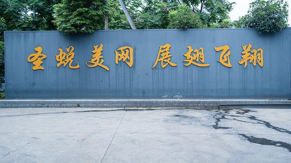 美网门窗探厂报告
