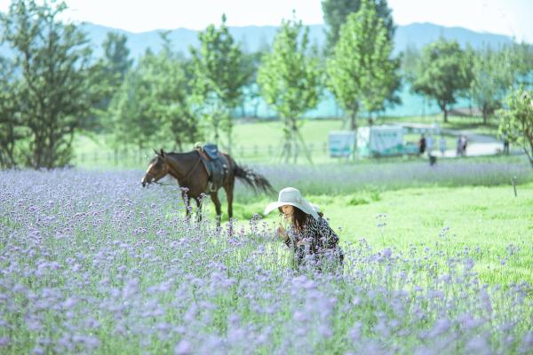 2021融创北京集团 X 美好旅行节，多场景解锁盛夏欢乐模式