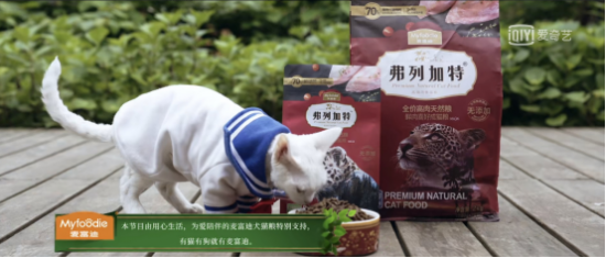 《你好生活》首播来袭 有人的地方 就有风景 有猫有狗 就有麦富迪