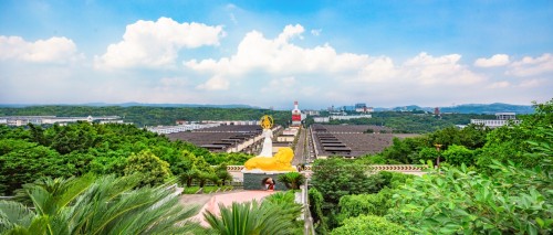  五粮液退役军人退伍不褪色 争当企业发展“中流砥柱”