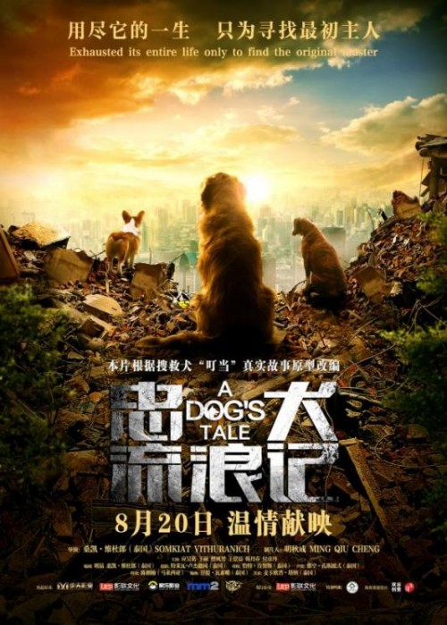 搜救犬叮当真实原型改编 《忠犬流浪记》 8月20日催泪上映