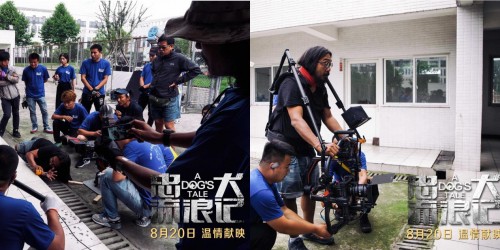《忠犬流浪记》今日上映 四大看点打造中国版忠犬八公