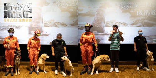 《忠犬流浪记》今日上映 四大看点打造中国版忠犬八公