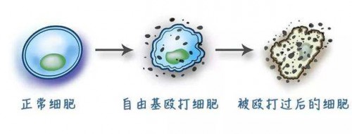 蓝氧，或将成为变革未来行业的新力量