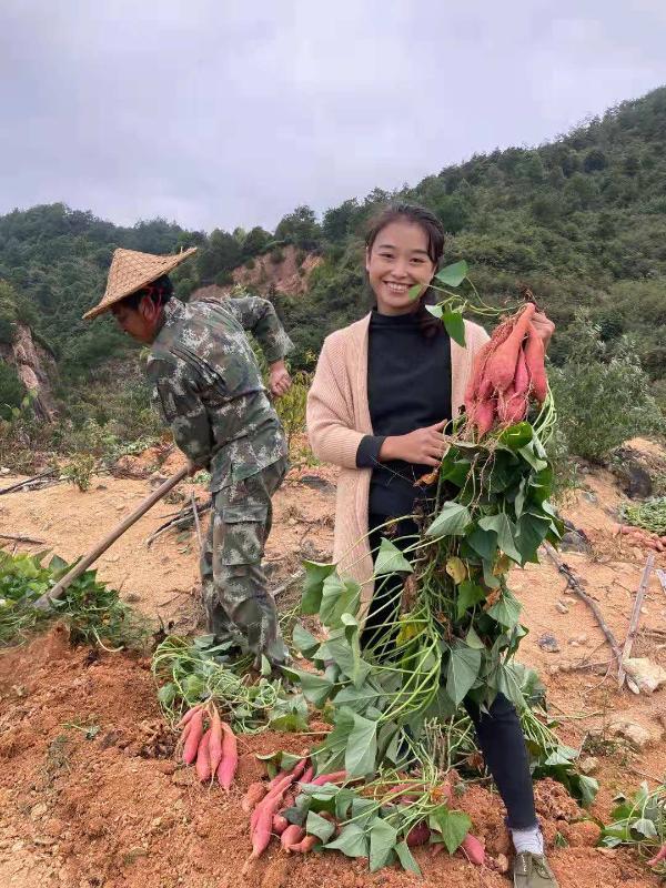 从贫困县到抖音直播网红县，屏南县经历了什么？