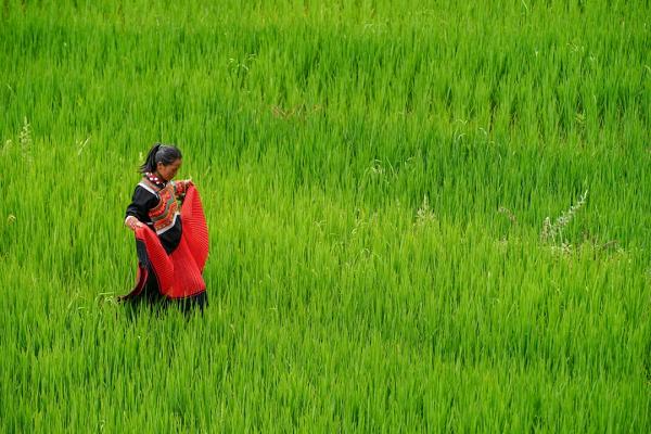 抖音妞妞合唱团：在大凉山尽头，一群留守女孩选择歌唱