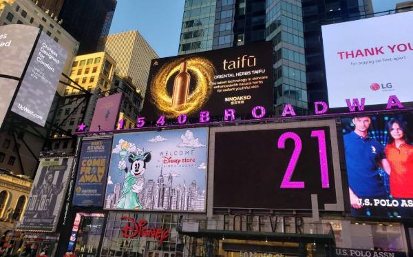  CCTV董倩专访东方本草创始人姜兴东