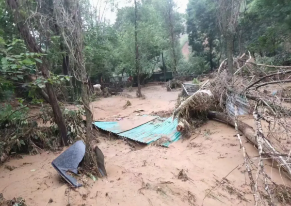 猫来了联合多个宠物品牌和企业，为河南受灾流浪动物救助基发起紧急救援