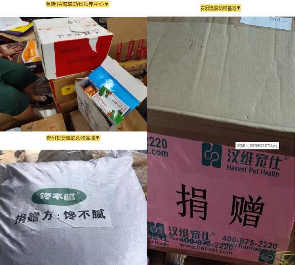 猫来了联合多个宠物品牌和企业，为河南受灾流浪动物救助基发起紧急救援