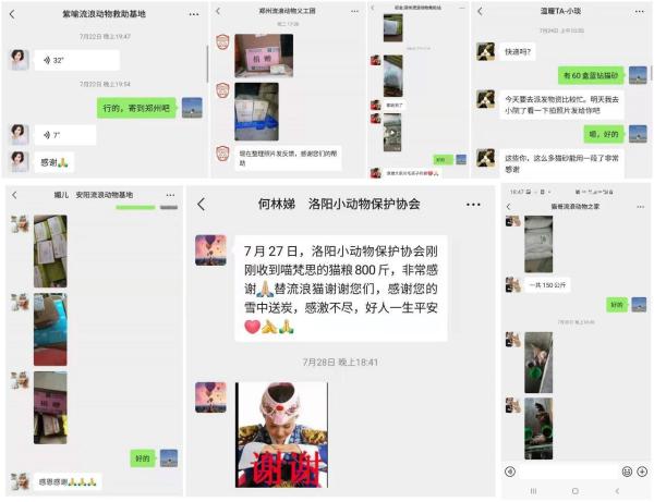 猫来了联合多个宠物品牌和企业，为河南受灾流浪动物救助基发起紧急救援