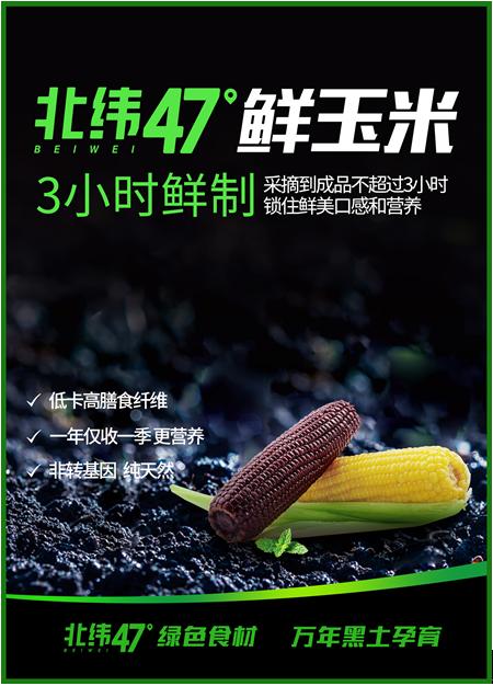 一颗好玉米是怎样炼成的北纬47度领鲜行业新标准