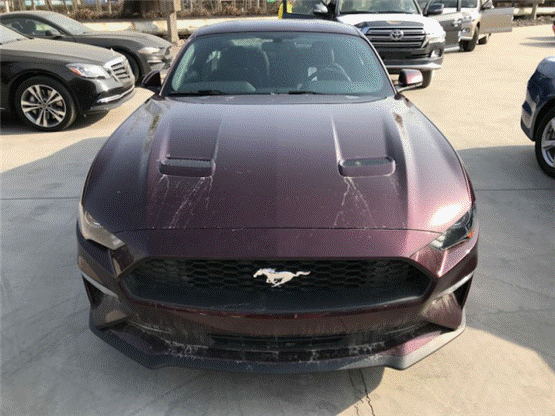 外形放纵不羁 18款美规福特野马2.3T实拍