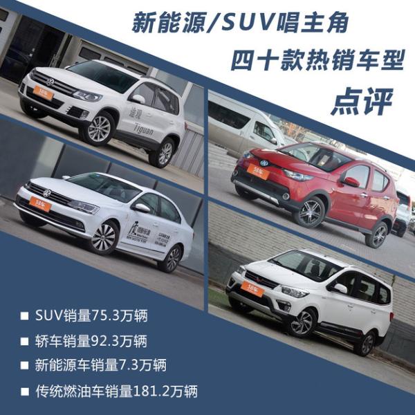 新能源/SUV唱主角 四十款热销车型点评