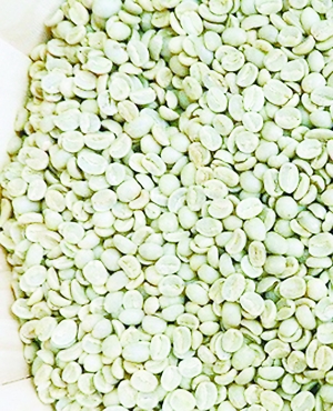 挑对咖啡豆进阶精品咖啡“达人”