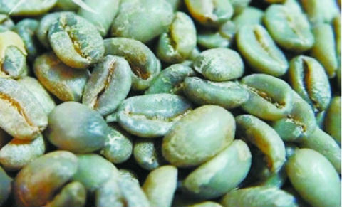 挑对咖啡豆进阶精品咖啡“达人”