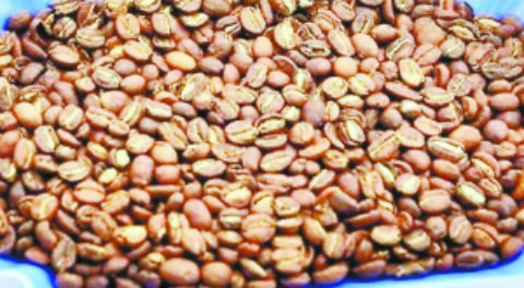 挑对咖啡豆进阶精品咖啡“达人”