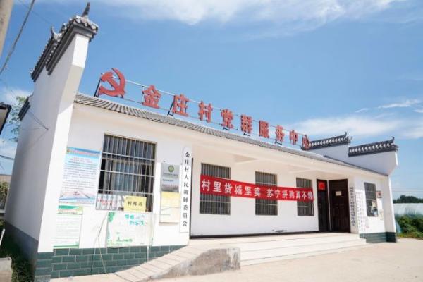 商丘将建河南首座拼购村 蒲公英成金庄村脱贫秘密武器