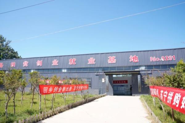 商丘将建河南首座拼购村 蒲公英成金庄村脱贫秘密武器