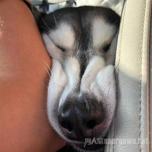 这4种没素质的坐车方式 很容易把车主惹毛