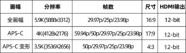 LUMIX S1实现6K和RAW外录 松下“固件大厂”再次重拳出击