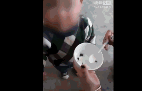 『活蝌蚪』你会给孩子喂活蝌蚪吃吗？我绝对不会