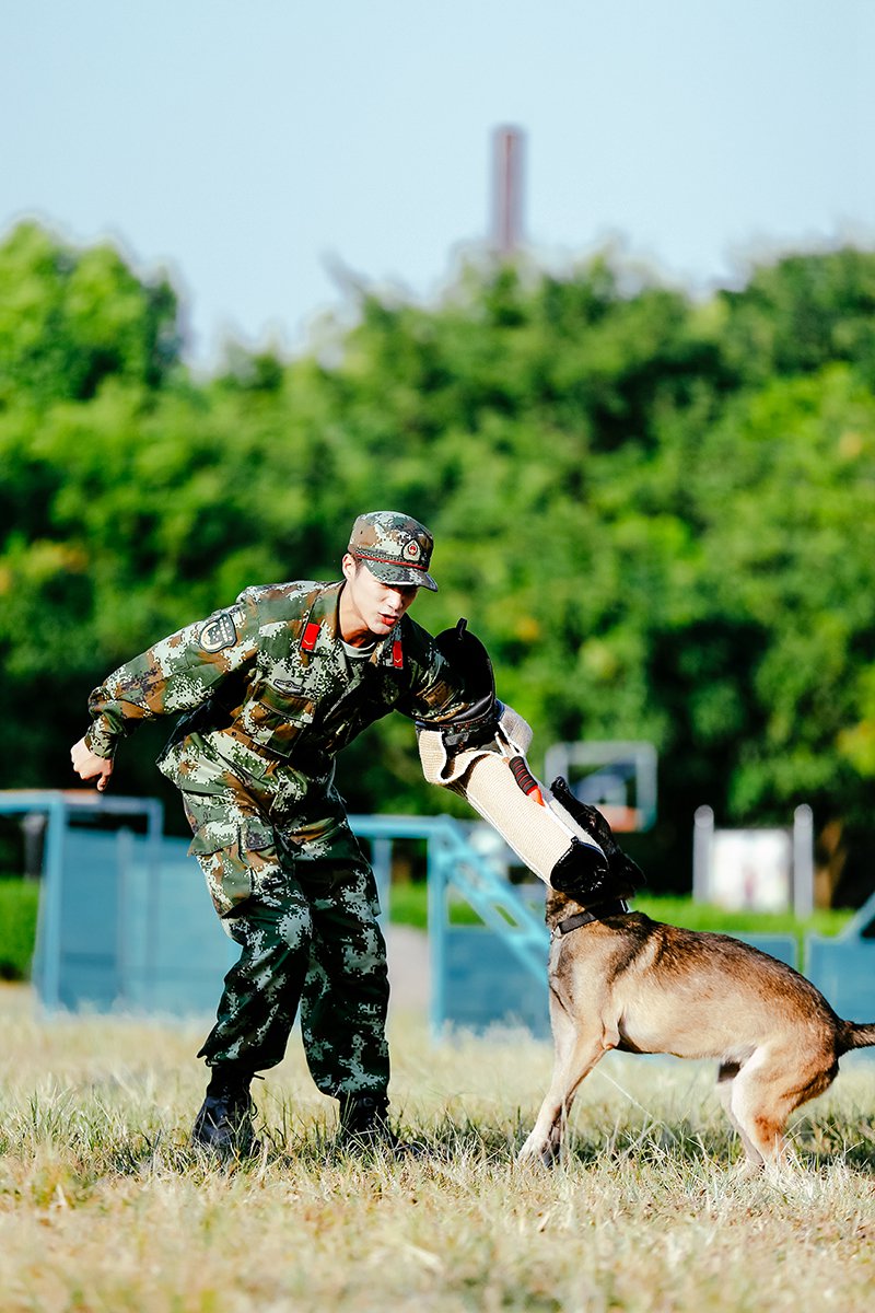 姜潮昆龙默契大爆发奇兵神犬惺惺相惜