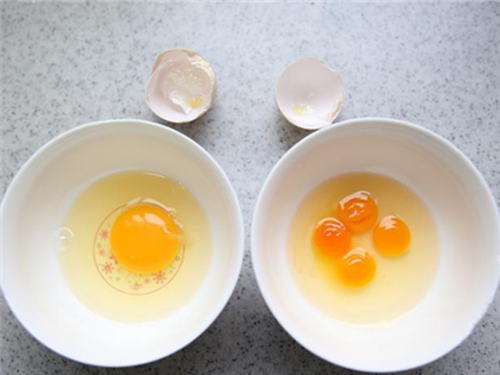 一个鸡蛋最多可以有几个蛋黄邮乐告诉你