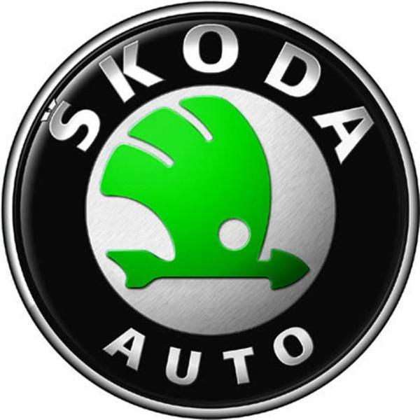 斯柯达1月全球销量:在华跌11.7% 在这一地区暴涨418%