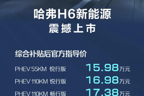 哈弗H6 DHT PHEV正式上市 售15.98-17.38万元