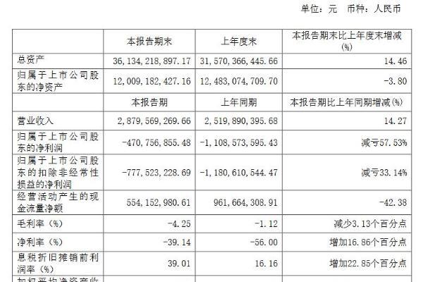 新能源汽车贡献48%营收，芯联集成2024上半年净利润减亏57.53%