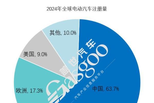 2024年，谁才是全球电动车市场的老大？