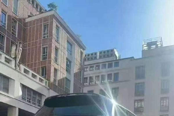 问界M9平替？吉利银河M9实车曝光，门把手不是隐藏的