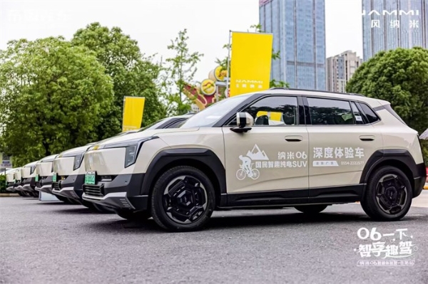 东风纳米智趣体验营合肥站 ，高级辅驾击穿十万级