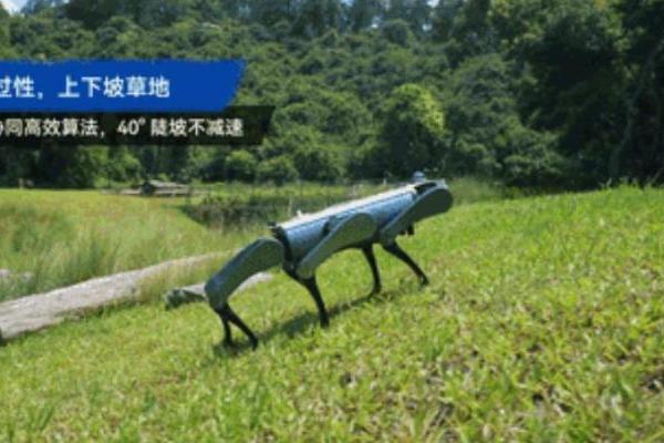 越疆机器人正式发布六足仿生机器狗