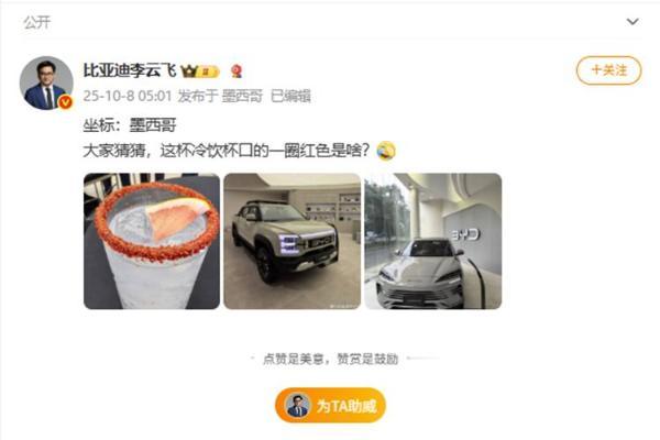 有好东西不卖国内？比亚迪：安排！国内迟早上